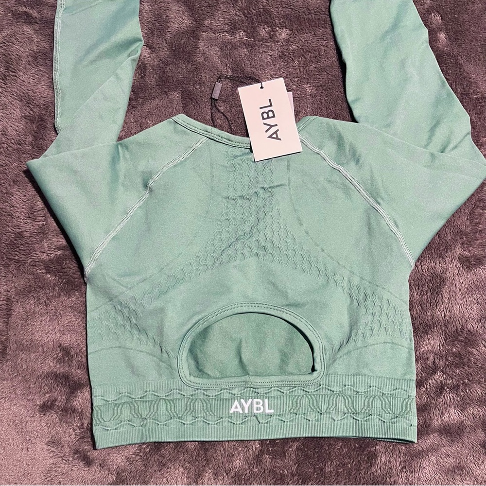 ABYL Long Sleeve Open Back Top